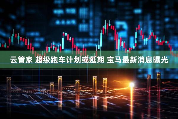 云管家 超级跑车计划或延期 宝马最新消息曝光