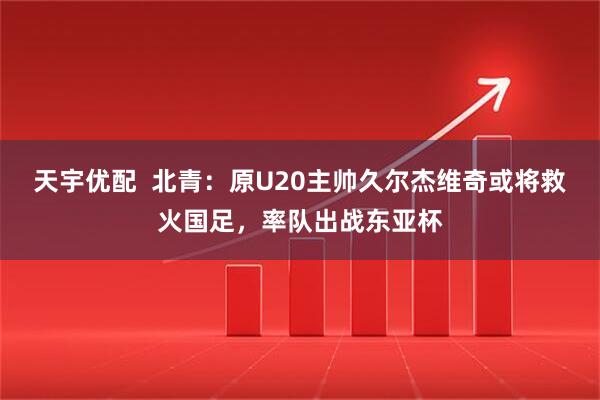 天宇优配  北青：原U20主帅久尔杰维奇或将救火国足，率队出战东亚杯