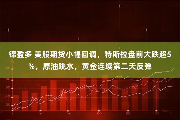 锦盈多 美股期货小幅回调，特斯拉盘前大跌超5%，原油跳水，黄金连续第二天反弹
