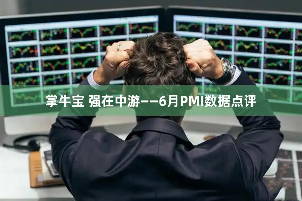 掌牛宝 强在中游——6月PMI数据点评
