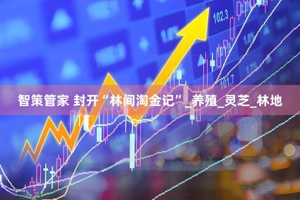 智策管家 封开“林间淘金记”_养殖_灵芝_林地
