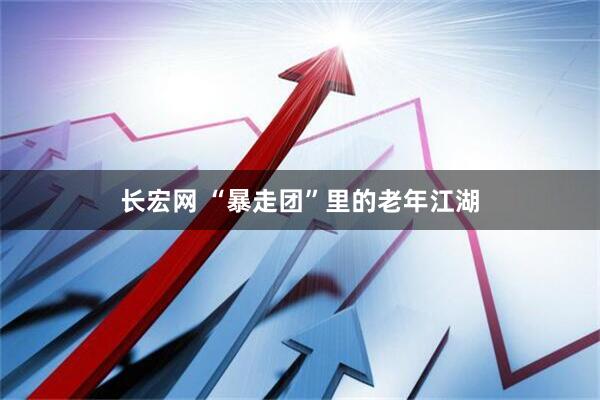 长宏网 “暴走团”里的老年江湖