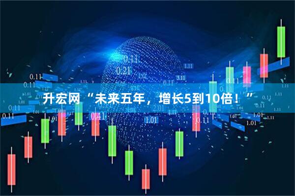升宏网 “未来五年，增长5到10倍！”