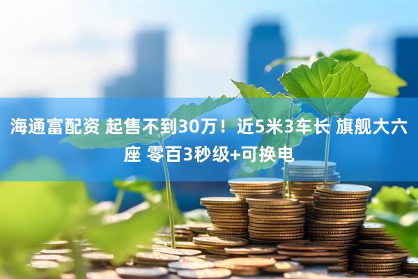 海通富配资 起售不到30万!近5米3车长 旗舰大六座 零百3秒级+可换电