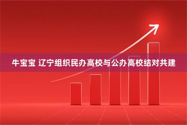 牛宝宝 辽宁组织民办高校与公办高校结对共建